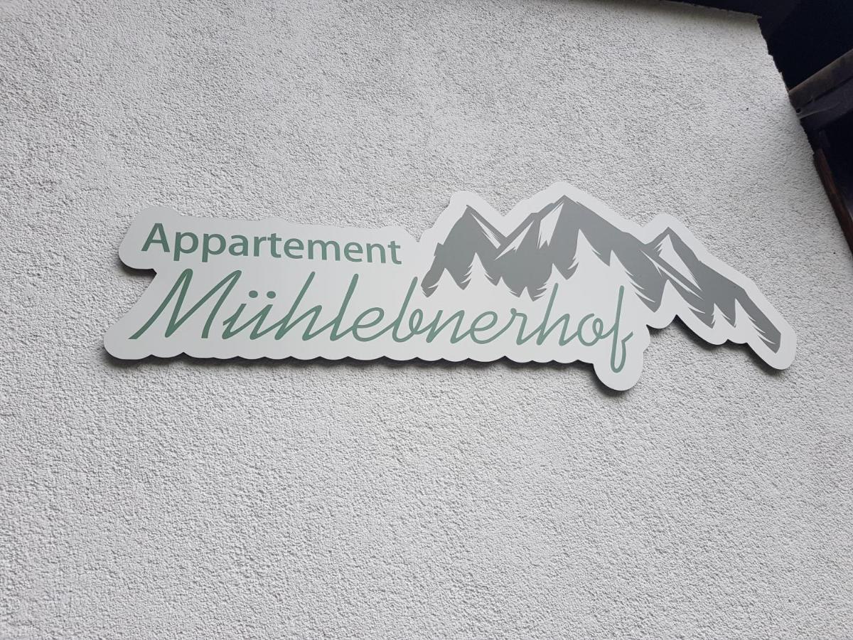 Appartement Muehlebnerhof رامساو أم داتشستين المظهر الخارجي الصورة